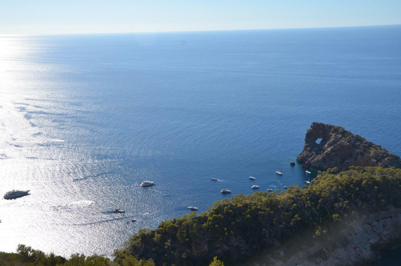 Carrasqueta Port d'Alcúdia