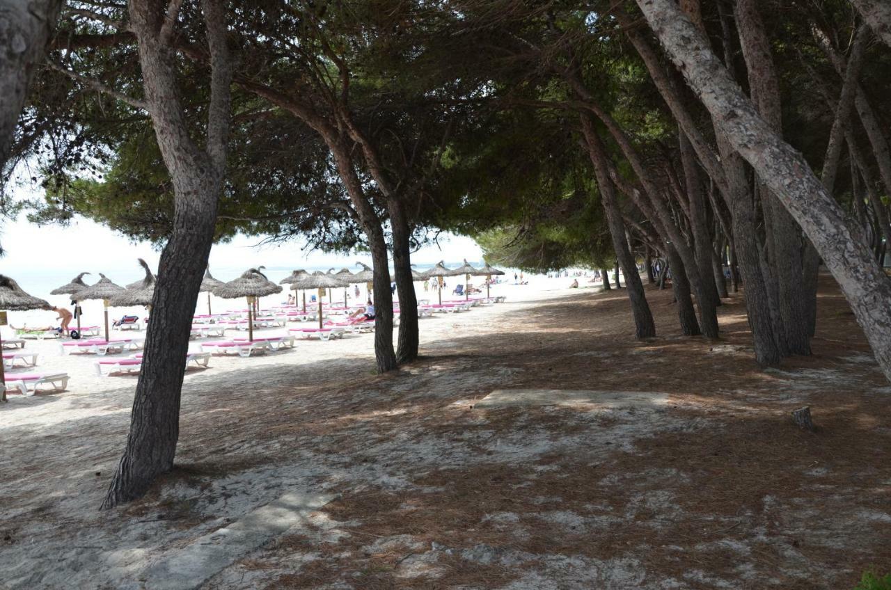 Carrasqueta Ferienhaus Port d'Alcúdia